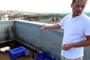 İş merkezleri Bonzai kullananların mekanı oldu