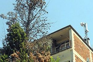 Baz istasyonu ağacı kuruttu