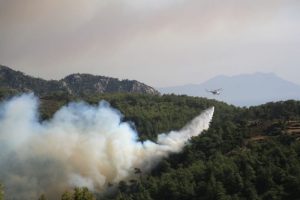 Milas'ta b&uuml;y&uuml;k korku !