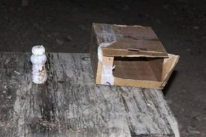 &Ccedil;&ouml;pe atılan para bulundu