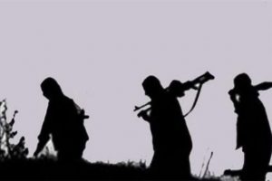PKK Batı'dan silah istedi