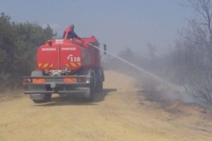 Silivri'de 17 d&ouml;n&uuml;m ormanlık alan k&uuml;l oldu