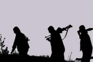 PKK 3 kamyon yaktı