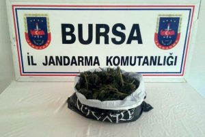 Bursa'da zehir tacirlerine operasyon!