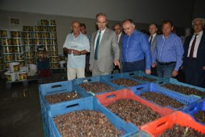 Altepe Marzim Tesisleri'ne hayran kaldı