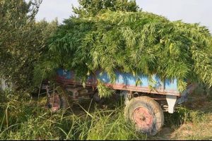 480 k&ouml;k hintkeneviri ele ge&ccedil;irildi!