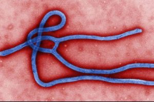Ebola vir&uuml;s&uuml;ne karşı &ouml;nlemleri artırdı