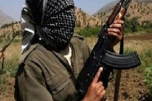 12 PKK militanı teslim oldu