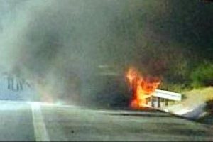 Otomobilde &ccedil;ıkan yangın ormana sı&ccedil;radı