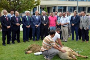 Yeni sezon &ouml;ncesi &Ouml;zl&uuml;ce'de kurban kesildi