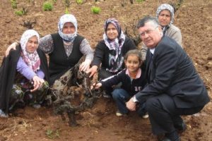 H&uuml;k&uuml;met şaraba &ouml;c&uuml; g&ouml;z&uuml;yle bakıyor