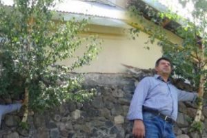 Duvarın i&ccedil;inde ağa&ccedil; yetişti
