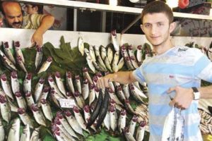 Hamsinin fiyatı 3 liraya kadar d&uuml;şecek