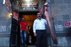 Nehirden 42 kiloluk yayın balığı &ccedil;ıktı