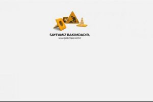 Asans&ouml;r firması sitesini kapattı