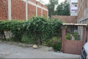 Asans&ouml;r faciasının ateşi Bursa'ya d&uuml;şt&uuml;