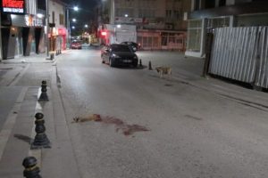 &Ouml;len yavrusunun başından bir dakika bile ayrılmadı