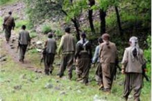 PKK'nın ka&ccedil;ırdığı &ccedil;ocuklarla ilgili yeni gelişme