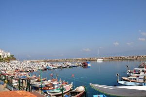 Balık&ccedil;ı barınağında onarım başladı