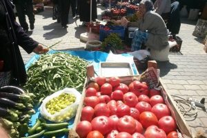Osmanlı domatesine b&uuml;y&uuml;k ilgi