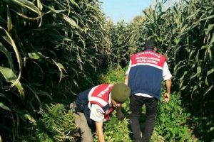 Bursa'da zehir tacirlerine operasyon!