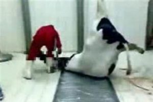 O videonun yeniden yayınlanmasına tepki