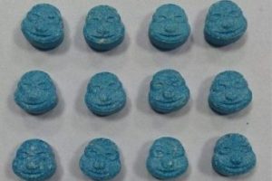"Ninja Kaplumbağa" operasyonu: 28 g&ouml;zaltı