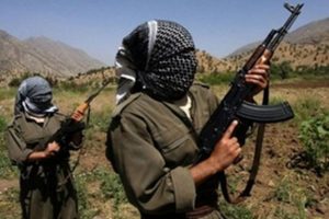 G&uuml;neyimizde yeni bir ordu kuruluyor!