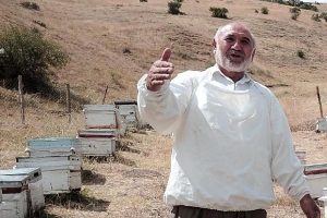 Arıcıların derdi sahte bal