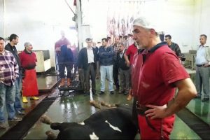Kurbana eziyete para cezası!