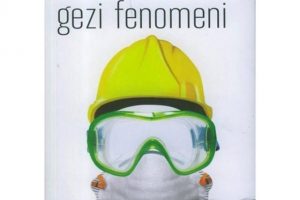 Gezi Fenomeni yazarına hapis cezası