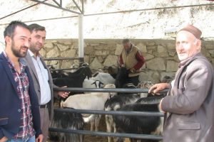 "Kurbanlıklar elimizde kalacak diye korkuyoruz"