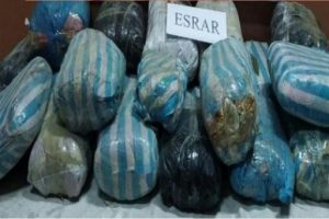 Tam 873 kilo esrar yakalandı