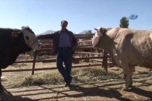 "Şeker" ile "Fıstık" otomobil fiyatına