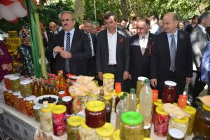 Bursa'da turşu festivali