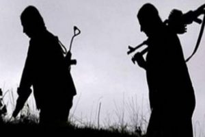 1 PKK'lı teslim oldu