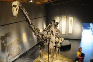 150 milyon yaşındaki dinozor sergilendi
