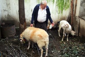 Sosyetik ko&ccedil;unu kesmeye kıyamadı ve...