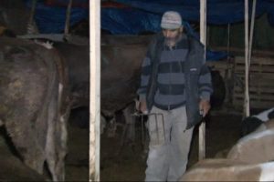 Dirgenli gece n&ouml;beti