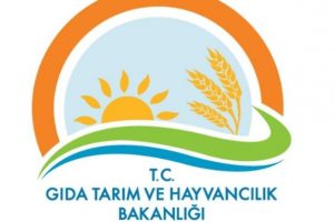 Rusya ile anlaşma