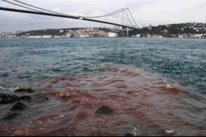 Boğaz kızıla b&uuml;r&uuml;nd&uuml;