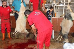 Biri başbakanın diğeri Bakan'ın