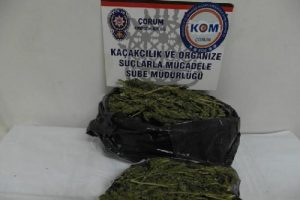 2 kilo esrar, 1 tutuklama