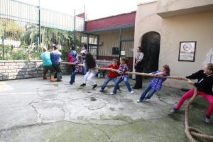 Sibirya kaplanı ile halat &ccedil;ekme