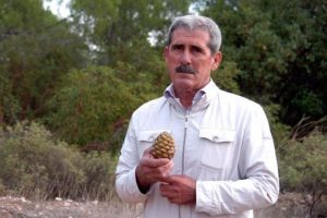 '&Ccedil;amfıstığı n&ouml;beti'