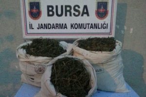 Bursa'da zehir tacirlerine b&uuml;y&uuml;k darbe!