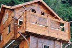 Rize'de benzeri olmayan ev!