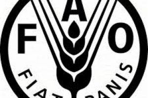 Gıda fiyatları endeksi 6 aydır d&uuml;ş&uuml;yor