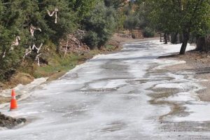 Yollar k&ouml;p&uuml;kle kaplandı