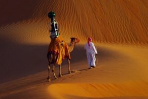 Google devesi Abu Dabi &ccedil;&ouml;l&uuml;nde